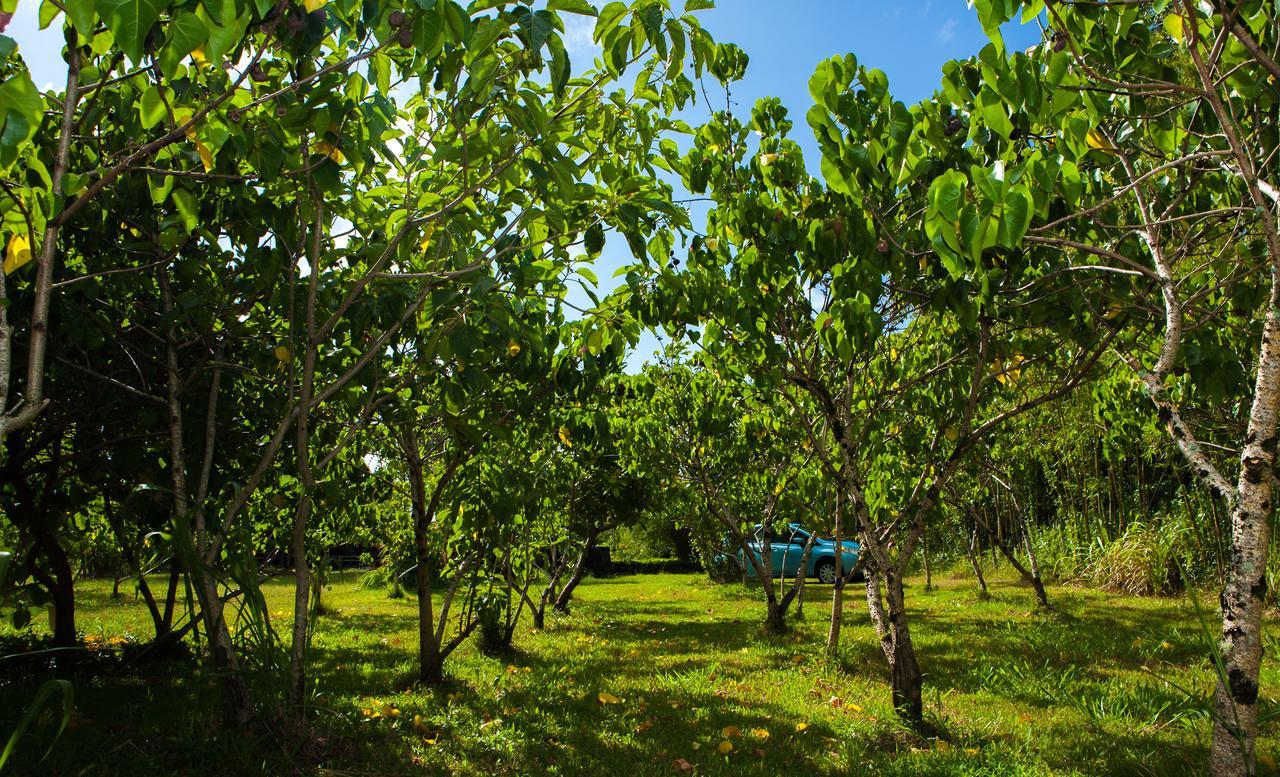 Kirpal Meditation And Ecological Center Pahoa Eksteriør bilde